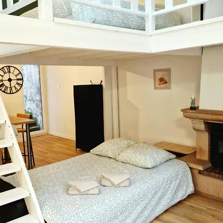 Loft Chaleureux Proche Cathedrale * Clermont-Ferrand
