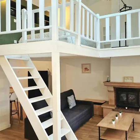 Loft Chaleureux Proche Cathedrale Apartment Clermont-Ferrand