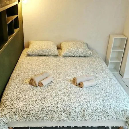 Loft Chaleureux Proche Cathedrale Apartment *